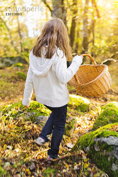 Mädchen geht durch den Herbstwald und sammelt Pilze