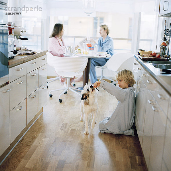 Junge spielt mit Hund  Eltern sitzen dahinter und frühstücken  Hammarby Sjostad  Schweden.