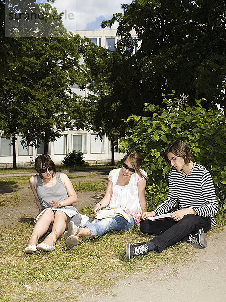 Drei junge Menschen studieren draußen in der Sonne  Schweden.