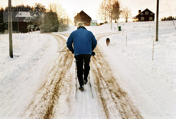 Ein Mann mit einem Kick-Sled und einem Hund  Schweden.
