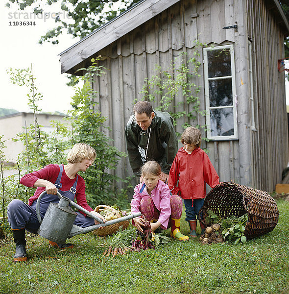 Eine Familie arbeitet in einem Garten  Schweden.