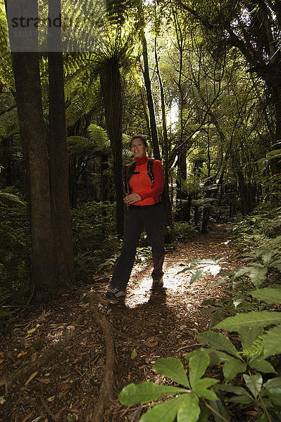 Eine Frau geht in einem Wald spazieren  Neuseeland.