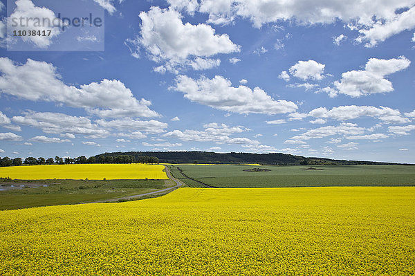 Vergewaltigungsfelder  Schweden.