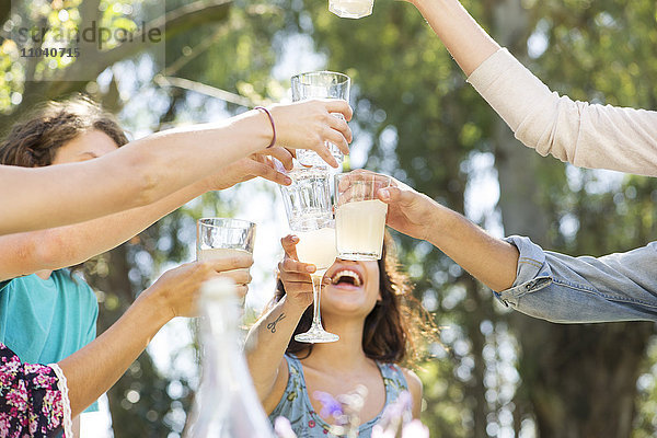 Toast der Freunde beim Picknick im Park