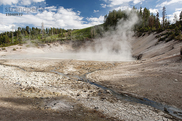 Heiße Quelle im Yellowstone Nationalpark  Wyoming  USA