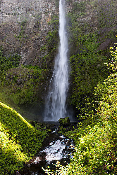 Multnomah Falls  Oregon  USA