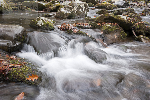 Wasser fließt über Felsen