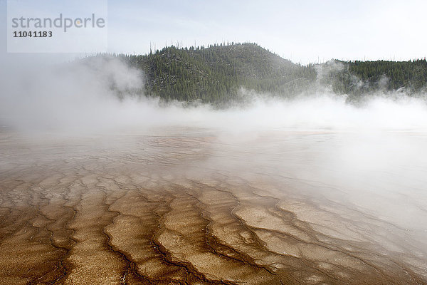 Heiße Quelle in Dampf gehüllt  Yellowstone National Park  Wyoming  USA