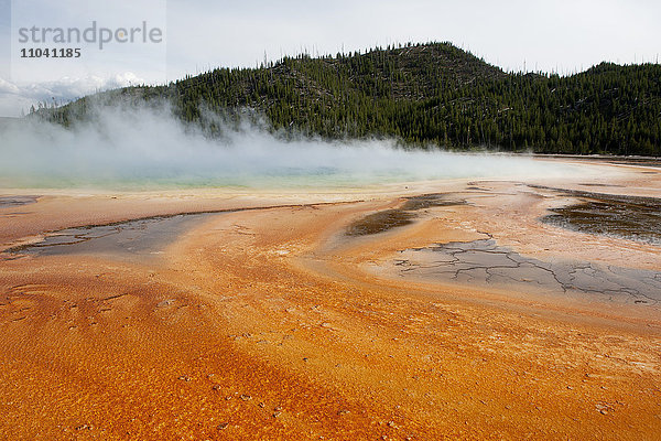 Heiße Quelle im Yellowstone Nationalpark  Wyoming  USA
