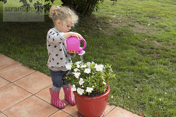 Kleines Mädchen beim Gießen von Topfpflanzen