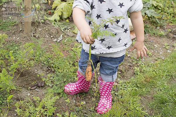 Kind mit frisch gepflückter Karotte