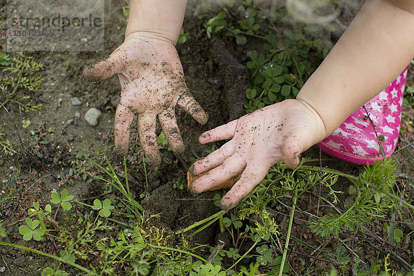Kinderhände von der Gartenarbeit verschmutzt
