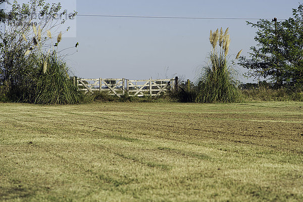 Ländliches Feld mit rustikalem Zaun