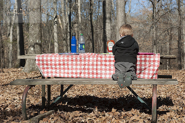Junge sitzt am Picknicktisch  Rückansicht