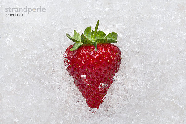 Erdbeere auf Eis