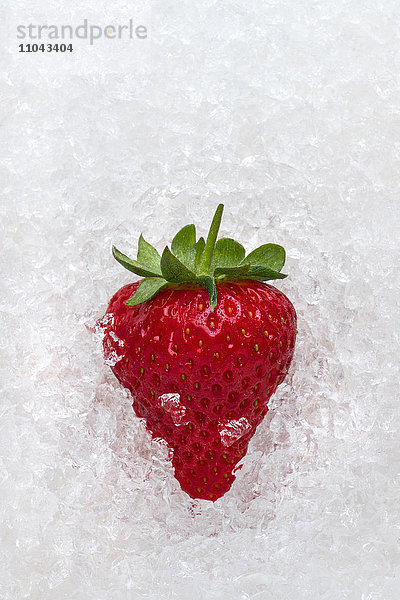 Erdbeere auf Eis