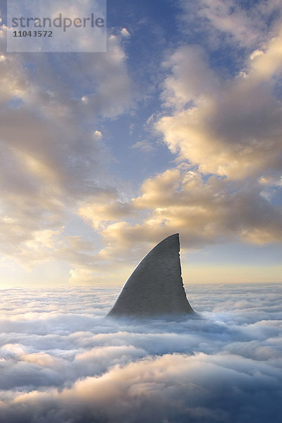 Haifischflosse über den Wolken