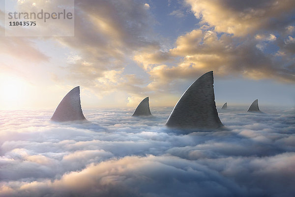 Haifischflossen über den Wolken