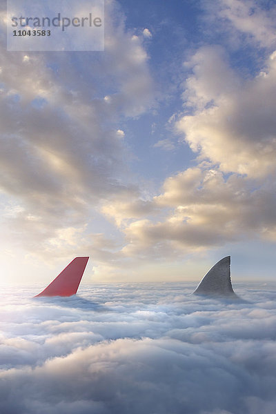 Haifischflosse  die das Seitenruder eines Flugzeugs über den Wolken verfolgt