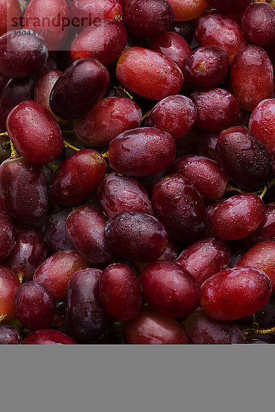 Stapel frischer  nasser violetter Weintrauben
