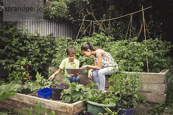 Gemischtrassige Kinder benutzen digitales Tablet im Garten