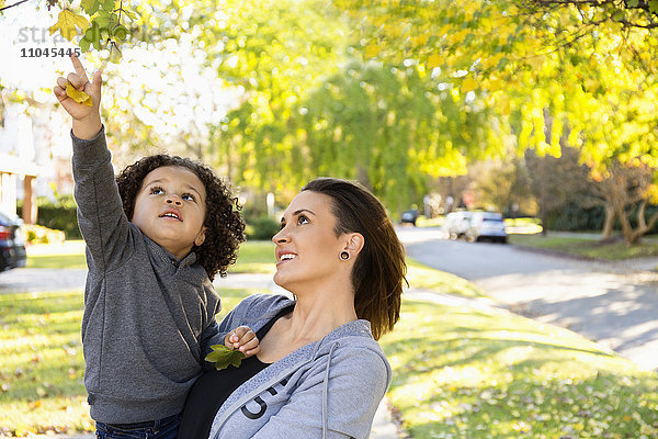 Mutter und Sohn bewundern den Baum im Freien