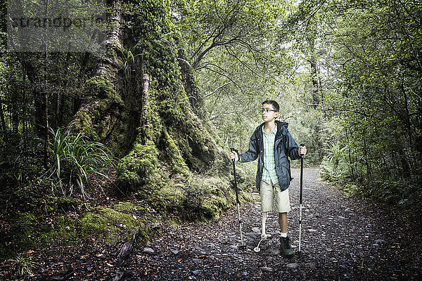 Gemischtrassiger Junge beim Wandern im Wald