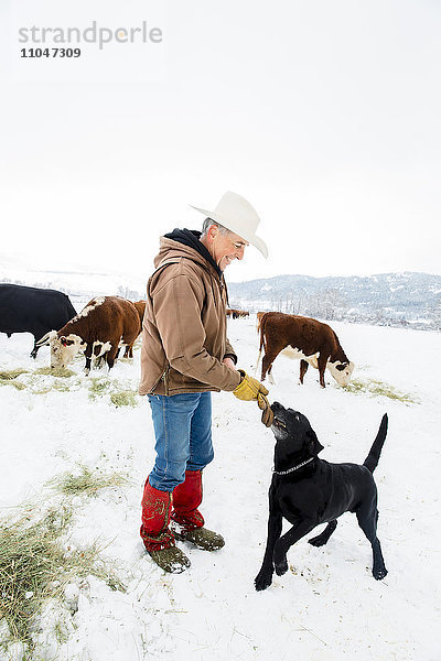 Hund zerrt am Handschuh eines kaukasischen Bauern im Schnee
