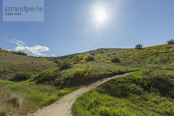 Schotterweg in hügeliger Landschaft