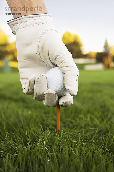 Gemischtrassige Frau legt den Ball auf das Tee auf dem Golfplatz