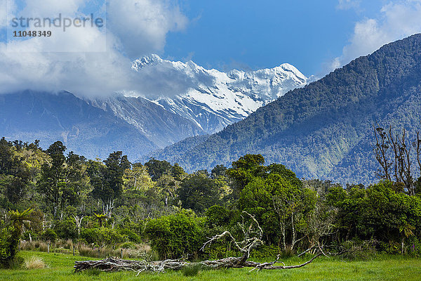 Wald und Berge in abgelegener Landschaft