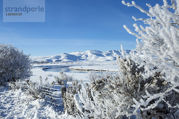 Frostige Bäume und Fluss in verschneiter ländlicher Landschaft