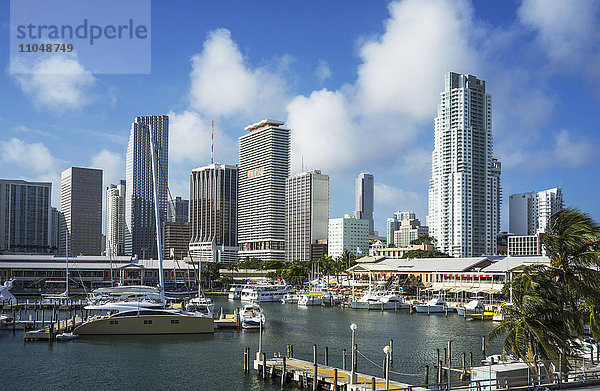 Hochhäuser und Hafen von Miami