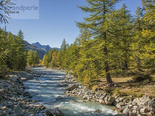 Fluss und Wald in abgelegener Landschaft