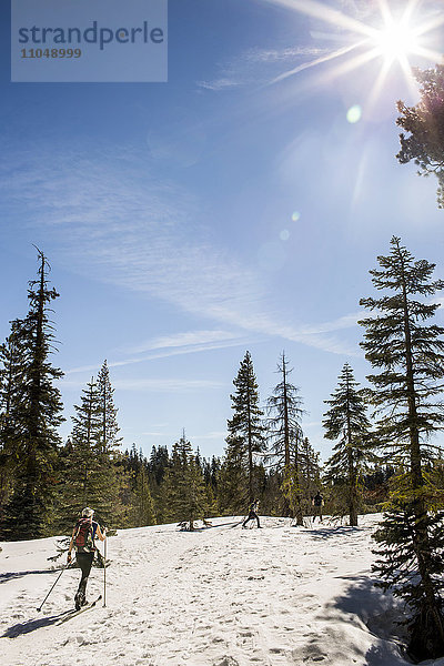 Skilangläufer im verschneiten Wald