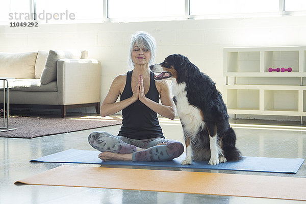 Hund beobachtet Frau beim Yoga