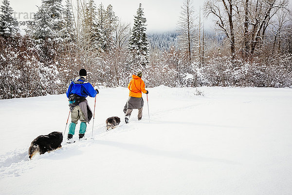Kaukasisches Paar und Hunde beim Skilanglauf auf einem verschneiten Feld