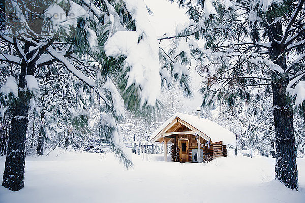 Hütte im verschneiten ländlichen Wald