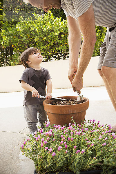 Vater und Sohn bereiten eine Topfpflanze vor
