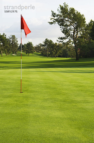 Fahne im Loch auf dem Golfplatz