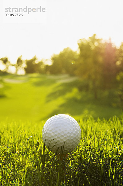 Nahaufnahme eines aufgeschlagenen Golfballs auf dem Golfplatz