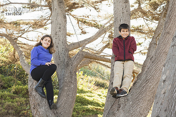 Gemischtrassige Geschwister lächelnd im Baum