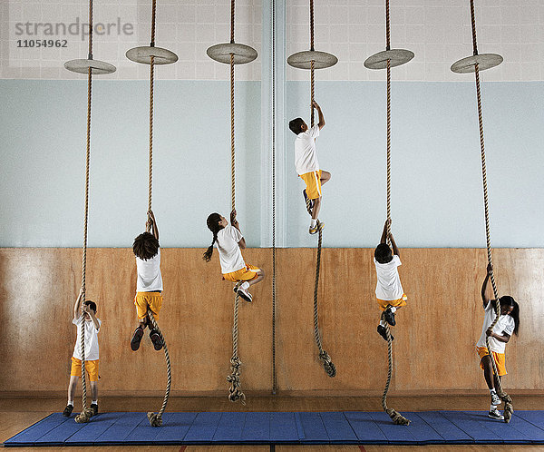 Eine Gruppe von Kindern in einer Turnhalle  die an den Seilen hochklettern.