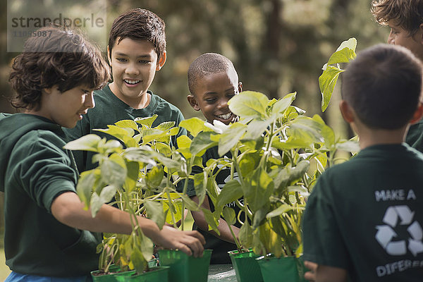 Kinder in einer Gruppe  die etwas über Pflanzen und Blumen lernen  in einem Afterschool-Club oder Sommercamp.