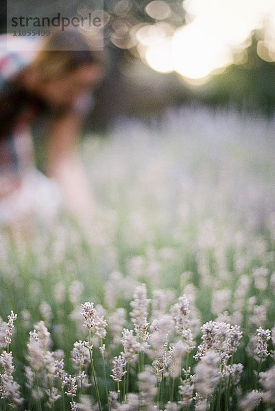 Eine Frau beugt sich an einem Blumenbeet mit blühendem Lavendel.