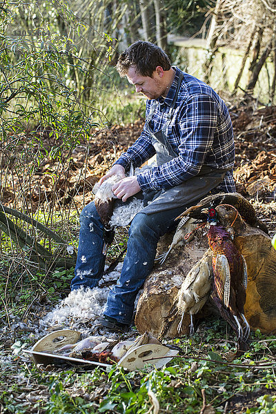 Ein Mann sitzt auf einem Baumstumpf und rupft einem Wildvogelkadaver Federn aus.