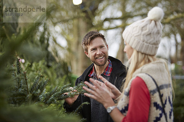 Ein Mann und eine Frau diskutieren und wählen einen traditionellen Tannenbaum  den Weihnachtsbaum.