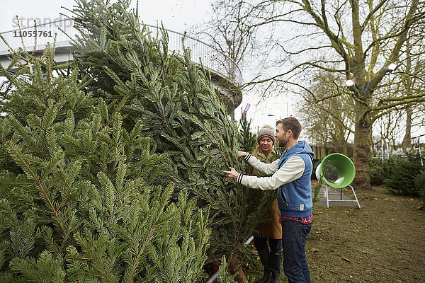 Eine Frau in einem Gartencenter wählt einen traditionellen Kiefern- oder Weihnachtsbaum.