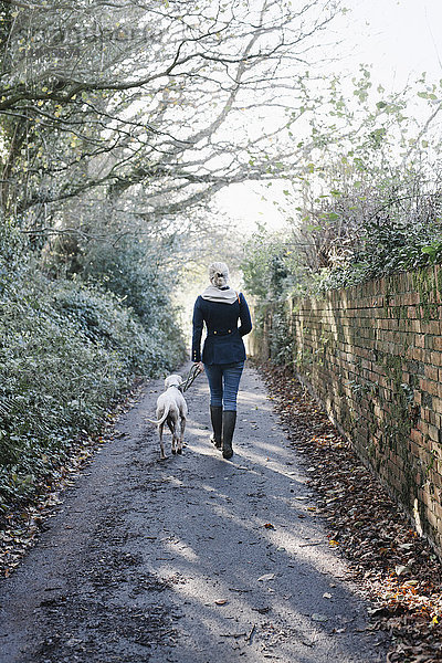 Eine Frau geht mit einem Hund auf einem Feldweg spazieren.