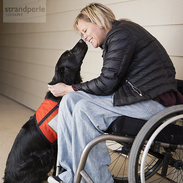 Eine reife Rollstuhlfahrerin mit ihrem Diensthund  einem schwarzen Labrador  die sich aufeinander zu lehnen.